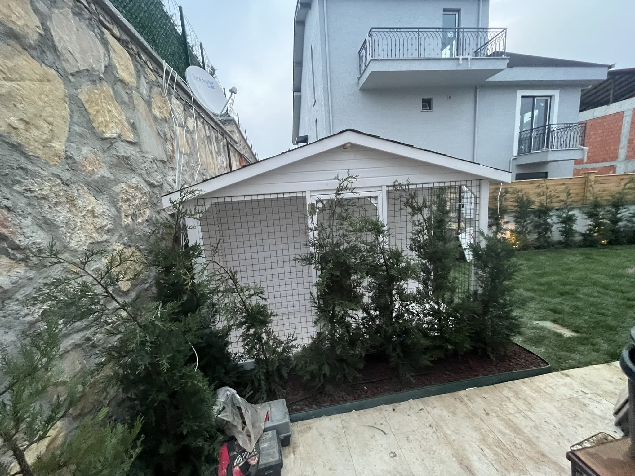 Ahşap Köpek Evi 2