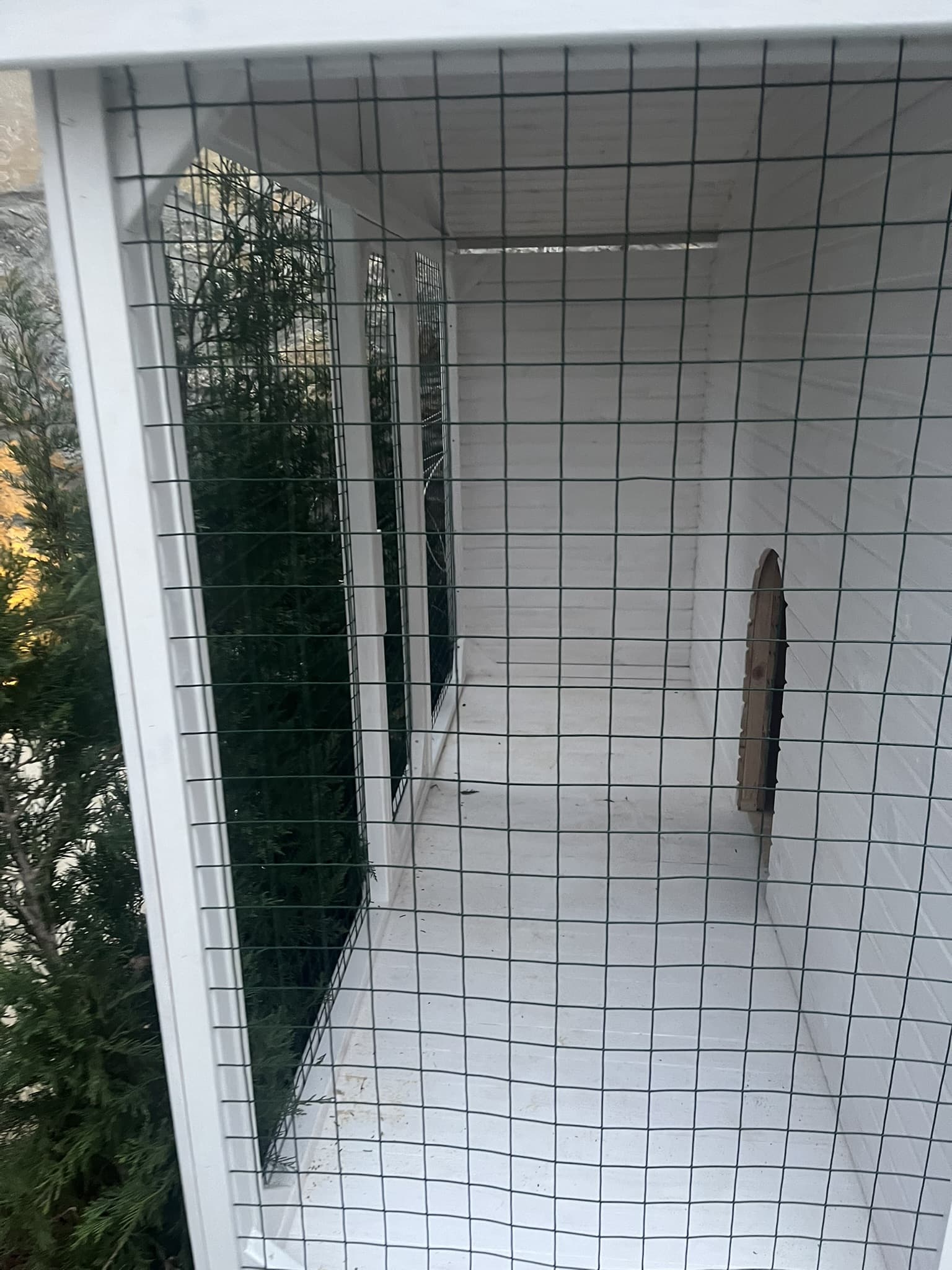 Ahşap Köpek Evi 2